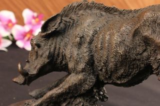 Bronze & Marble ART Perky wild boar pig & Tough Teeth Sculpture Statue 