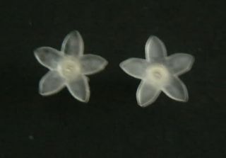 flower shape earrings in frosted white for children from united