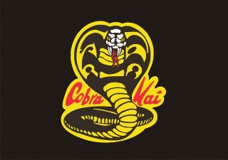 movie t shirt inspired by the film karate kid cobra kai more options 