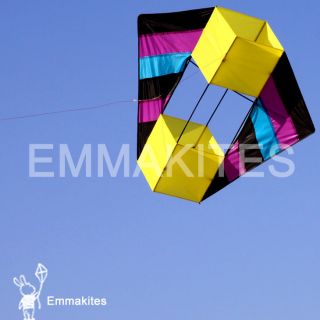 FREE SHIPPING ! NEW 3D Box Kite / Single Line Kites / Easy to Fly