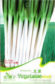 Bag 100+ Seed Heirloom Organic Vegetable White Bunching Green Onion 