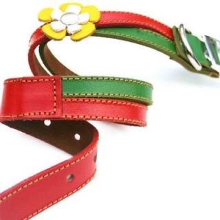 cool rasta leather dog collar red green and yellow time