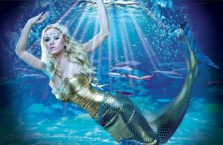 On Stranger Tides Mermaid Siren Costume Fish Tail Dress Fountain Youth 