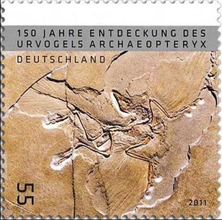 archaeopteryx in Rocks, Fossils & Minerals