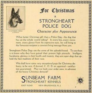 1923 Ad Champion Bero Police Dog Sunbeam Farm Kennel   ORIGINAL 