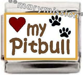 love my pitbull 9 mm italian charm dogs pets