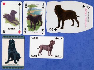 Selection of Neapolitan Mastiff Dog Playing Swap Cards Singles