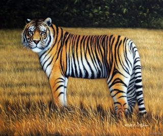   Tiger In Grass Big Cat Endangered Species Oil On Canvas Painting