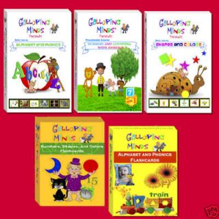 infant flash cards in Books