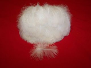 PEACOCK FEATHERS,ELECT​RIC WHITES,100 COUNT 2 to 4  LONG