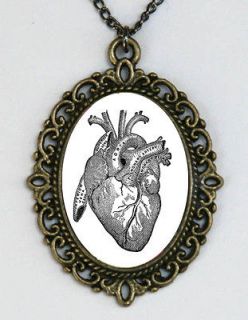 Anatomical Heart vintage Victorian Medical Drawing necklace anatomy 