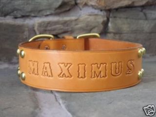 leather dog custom collar personalized 2 wide w spots  30 