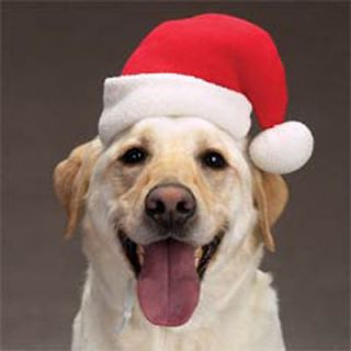 Christmas Holiday Red Dog Santa Hat ~2 Sizes~ Ships Free~New