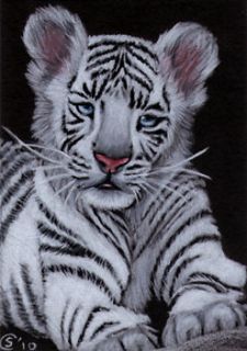   14 Bengal big cat kitten painting Sandrine Curtiss Art ACEO PRINT