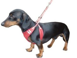 hdp no pull no chock puppy dog harness and lead