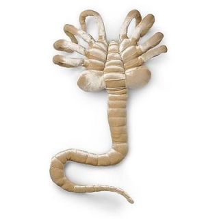 NEW Alien Life Sized FACEHUGGER face hugger Plush Toy 11 Scale