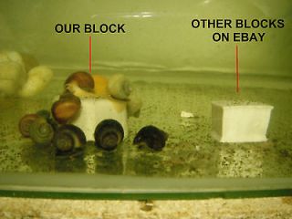FOOD & CALCIUM BLOCKS With Added Vitamins & Minerals For Apple Snails 
