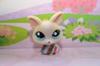 new littlest pet shop blonde teacup chihuahua dog 837 free