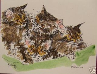 maine coon cats kittens note cards new original art wc  3 
