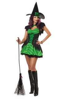 Hocus Pocus Wicked Witch Adult Costume SizeSmall