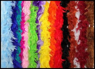 ft Long Feather Boas in 16 Color Options Great for Parties Crafts 