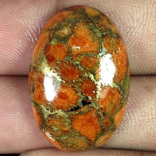 19.05Cts. NATURAL ORANGE COPPER CORAL TURQUOISE OVAL CABOCHON GEMSTONE 