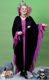   Evil Queen Witch Princess Sorcerous Adult Plus Size Costume