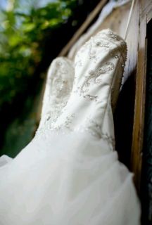 Disney Fairy Tale Wedding Dress By Alfred Angelo