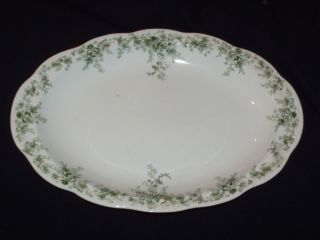 Alfred Meakin Coniston Medium 14Oval Platter Green Floral 