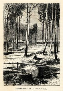 1879 Wood Engraving Settlement Gold Field Rush Mine Hotel Queensland 