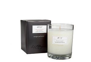 Saint Parfum Authentique Senteur Luxury Candle and Reed Diffuser Many 
