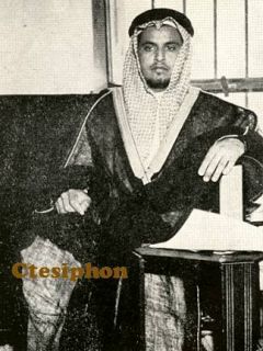 amir abdul muhsin ibn abdullah vice governor of al hasa