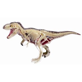 REX ANATOMY MODEL/PUZZLE, 4D Vision Kit #26092 TEDCO SCIENCE TOYS