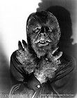Lon Chaney Jr Wolf Man Abbott & Costello Meet Frankenstein Portrait 