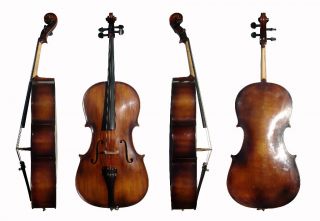 Anton Schuster Student Cello – 4 4 Size w Carved Top