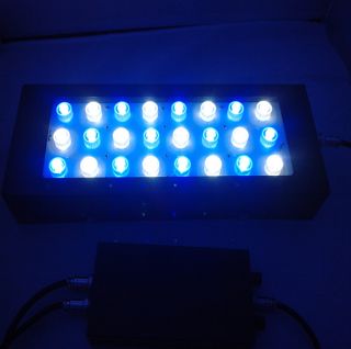 US Seller Dimmable CREE 72W LED Aquarium Light Lamp for Salter Water 