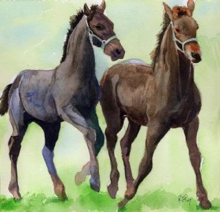 Print Friesian Warmblood Arabian Horse Painting Art