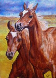 Chestnut Arabian Colts Horse Original Oil Painting ACEO Kari