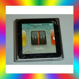 Apple iPod Nano 6th Generation Silver 8 GB