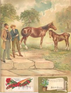 1880s Album Sheet of Cards Arbuckle Kansas Bufford More