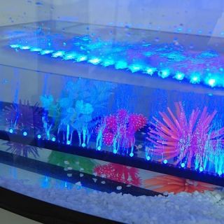    Eclairage lampe lumiere bleu 21 LED 54CM light PR Aquarium fish tank