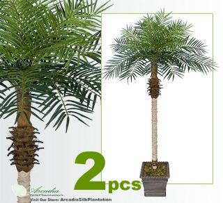 Two 7 Date Phoenix Palm Artificial Tropical Tree 116