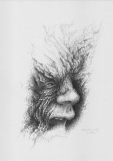 song of the tree 13 totally original pencil drawing by surreal artist 