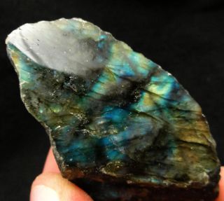 50 Polished Multi Color Labradorite Spectrolite Rough Specimen 