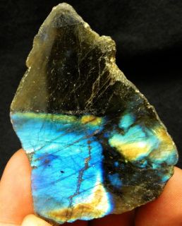 25 Polished Multi Color Labradorite Spectrolite Rough Specimen 