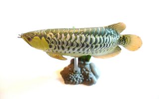 Kaiyodo Yujin Fossil Fish Green Asian Arowana Secret SP Figure RARE 