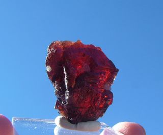Dark Red Spessartite Garnet Gem Mineral Specimen 80cts