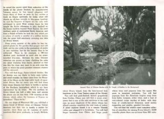  and photos of the Garden of Eden, the Jungle Gardens at Avery Island 