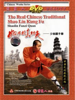 Real Shaolin Kung Fu Training 23 42 Fanzi Tumbe Quan