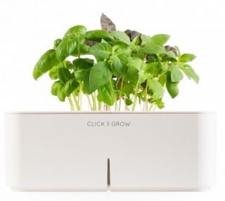   CLICK AND GROW Hydroponics System + Basil Cartridge Kit   no reserve
